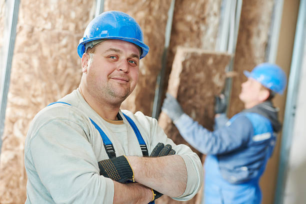 Best Insulation Maintenance and Repair in Addison, IL